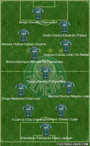 SE Palmeiras Formation 2019