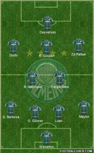 SE Palmeiras Formation 2019