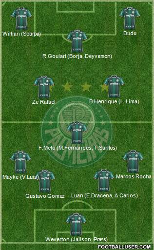 SE Palmeiras Formation 2019