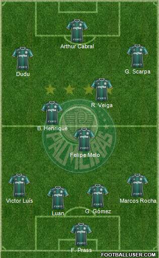 SE Palmeiras Formation 2019