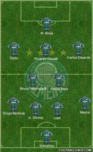 SE Palmeiras Formation 2019