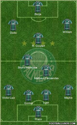 SE Palmeiras Formation 2019