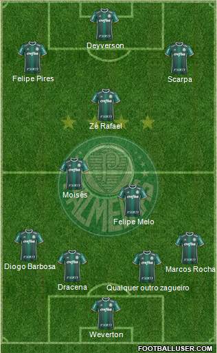 SE Palmeiras Formation 2019