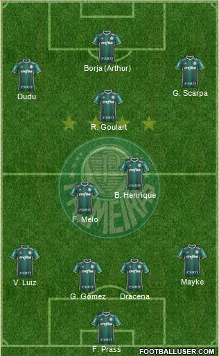 SE Palmeiras Formation 2019