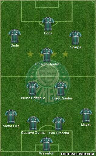 SE Palmeiras Formation 2019