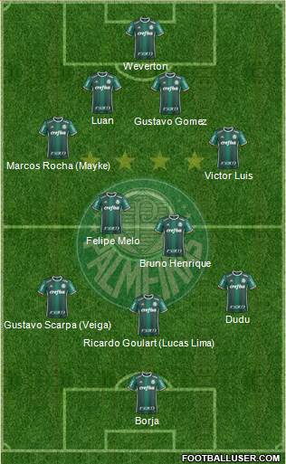 SE Palmeiras Formation 2019