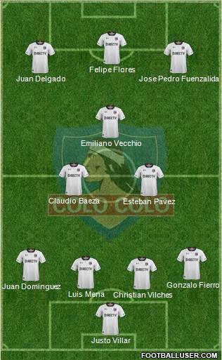 CSD Colo Colo Formation 2019