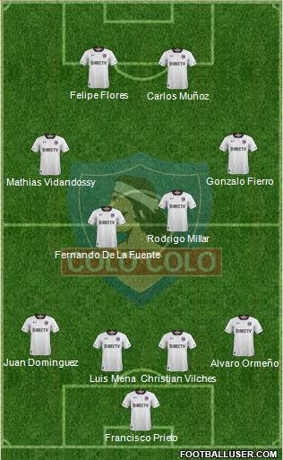 CSD Colo Colo Formation 2019