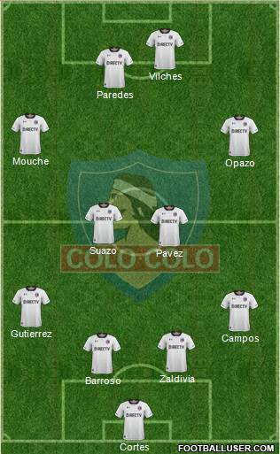 CSD Colo Colo Formation 2019