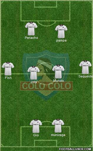 CSD Colo Colo Formation 2019