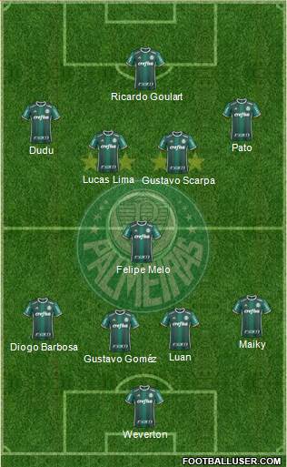 SE Palmeiras Formation 2019