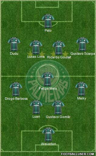 SE Palmeiras Formation 2019