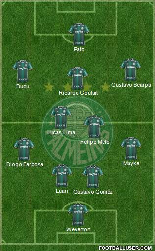 SE Palmeiras Formation 2019