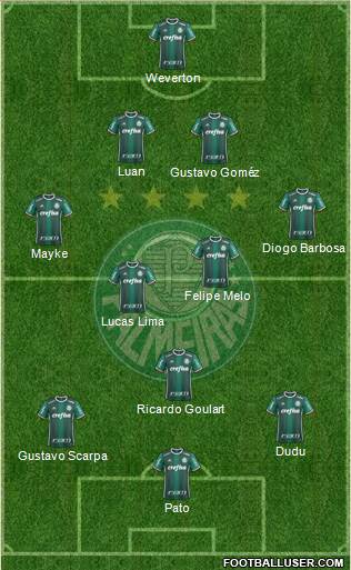 SE Palmeiras Formation 2019