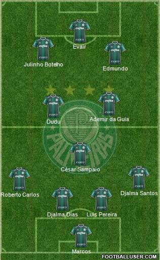 SE Palmeiras Formation 2019