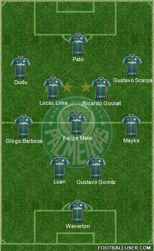 SE Palmeiras Formation 2019