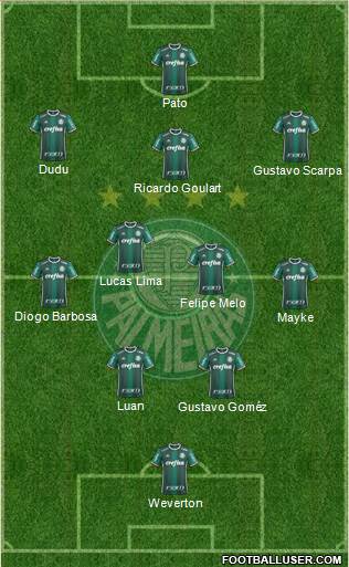 SE Palmeiras Formation 2019