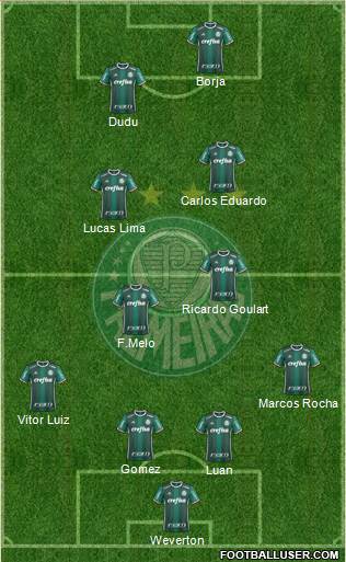 SE Palmeiras Formation 2019