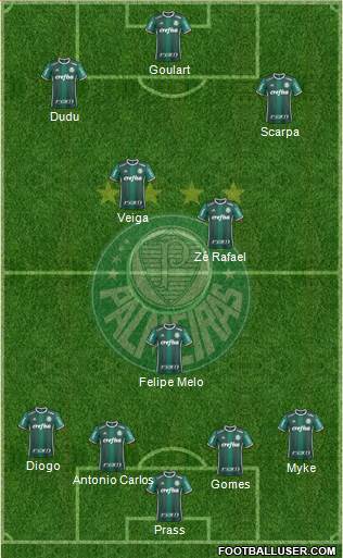 SE Palmeiras Formation 2019