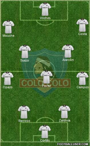 CSD Colo Colo Formation 2019