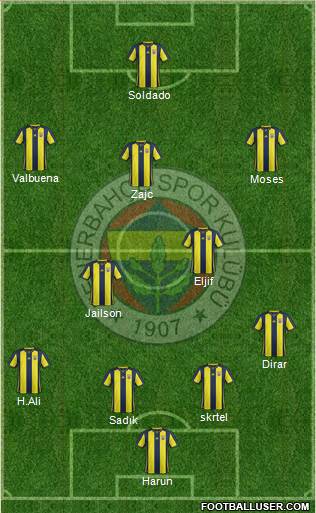 Fenerbahçe SK Formation 2019