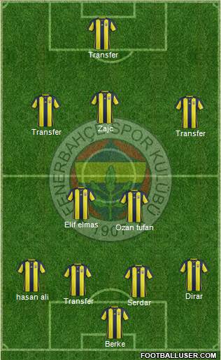 Fenerbahçe SK Formation 2019