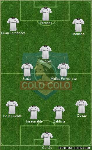 CSD Colo Colo Formation 2019