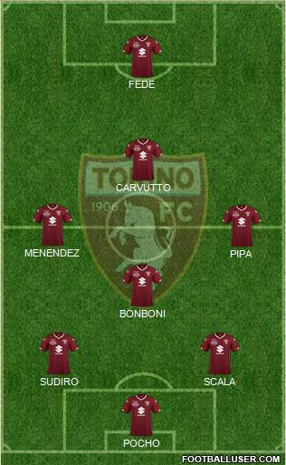 Torino Formation 2019