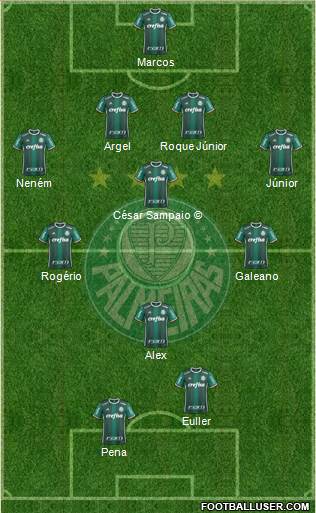 SE Palmeiras Formation 2019