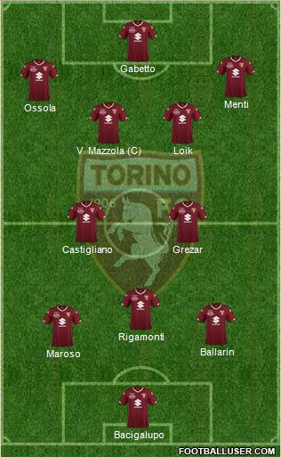 Torino Formation 2019