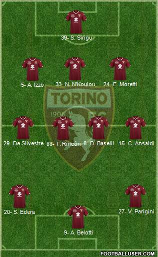 Torino Formation 2019