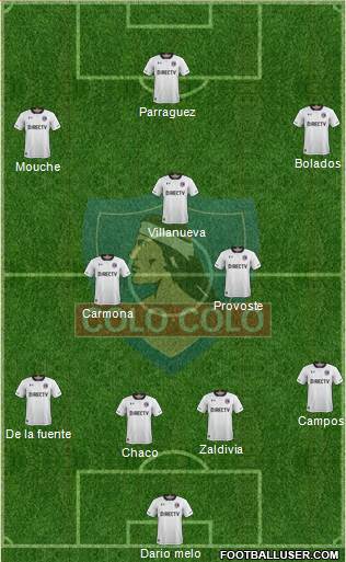 CSD Colo Colo Formation 2019