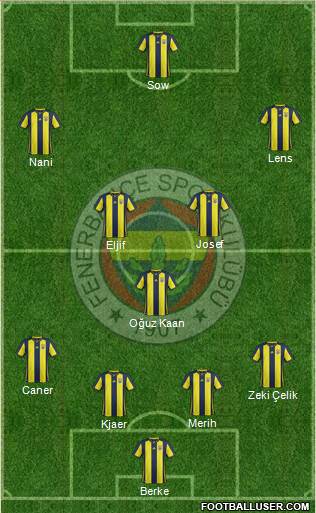 Fenerbahçe SK Formation 2019