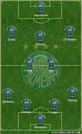 SE Palmeiras Formation 2019