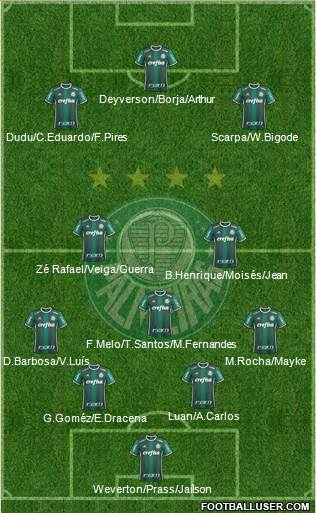 SE Palmeiras Formation 2019