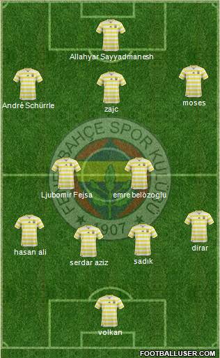 Fenerbahçe SK Formation 2019