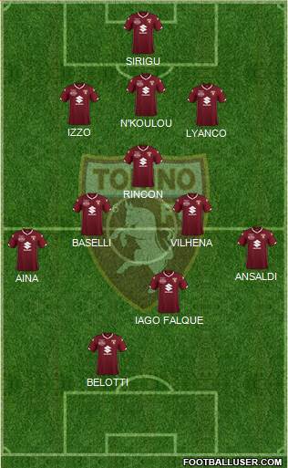 Torino Formation 2019