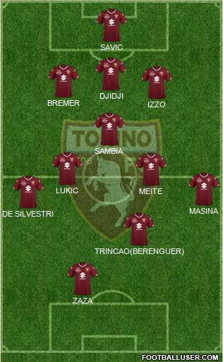 Torino Formation 2019