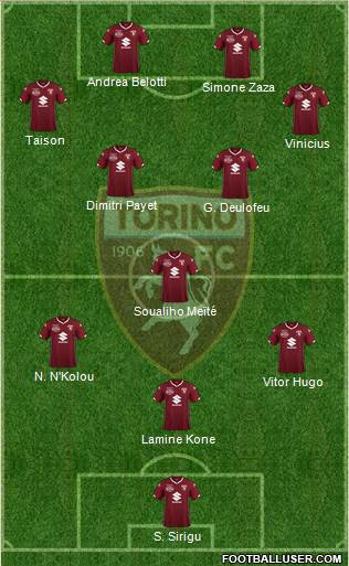 Torino Formation 2019