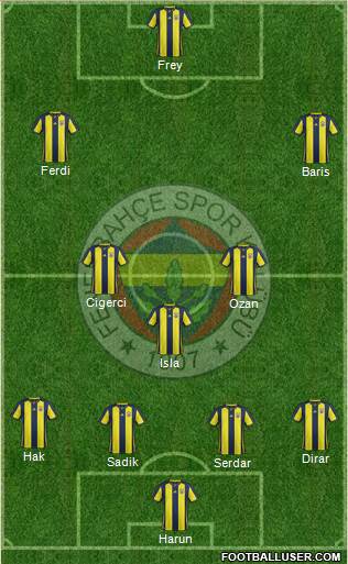 Fenerbahçe SK Formation 2019