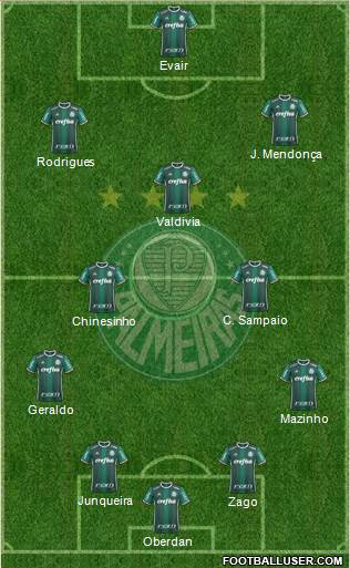 SE Palmeiras Formation 2019