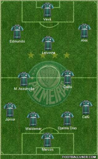 SE Palmeiras Formation 2019