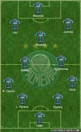 SE Palmeiras Formation 2019