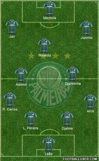 SE Palmeiras Formation 2019