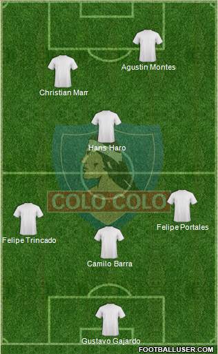 CSD Colo Colo Formation 2019