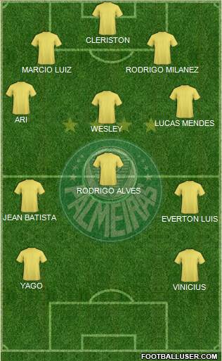 SE Palmeiras Formation 2019