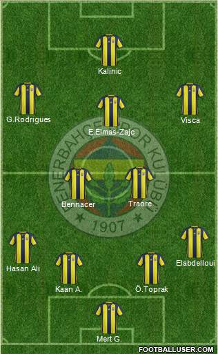 Fenerbahçe SK Formation 2019