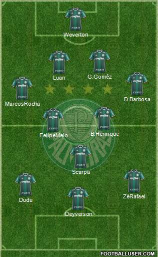 SE Palmeiras Formation 2019