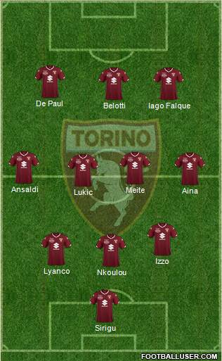 Torino Formation 2019