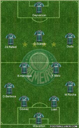 SE Palmeiras Formation 2019